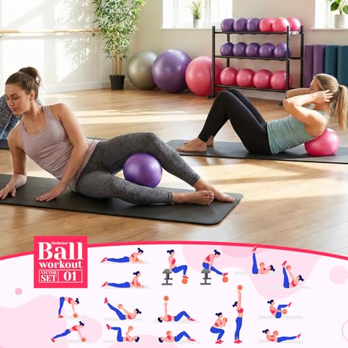 40 Pcs Small Exercise Pilates Ball Bulk 9 Inch Mini Yoga Balls Anti Burst and Slip for Stability Fitness Physical Therapy Stretching & Core Workout at Home Gym Office Class - color: Pink, Purple