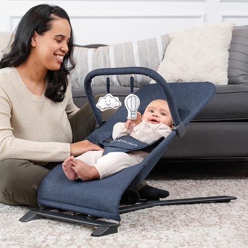Baby Delight Alpine Deluxe Portable Bouncer, Infant, 0 – 6 Months, Quilted Indigo - color: Quilted Indigo