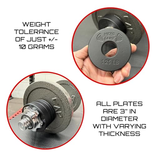 Micro Gainz Standard 1-Inch Center Hole Fractional Weight Plates Set of 2 Plates, Choose Set (.25LB-1.25LB), Designed for Standard 1-inch Barbells & Dumbbells, Made In USA - color: 1.25lb Black
