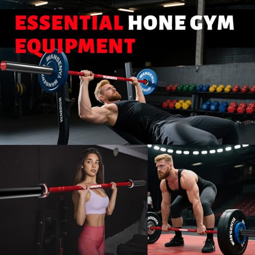 7FT Olympic Barbell 45lb,28MM 2 Inch Olympic Bar for No. 45 Steel,Olympic Weight Bars for Lifting,CrossFit,Bench Press,Deadlift,Squats,Strength Training bars - color: Red-500LBS