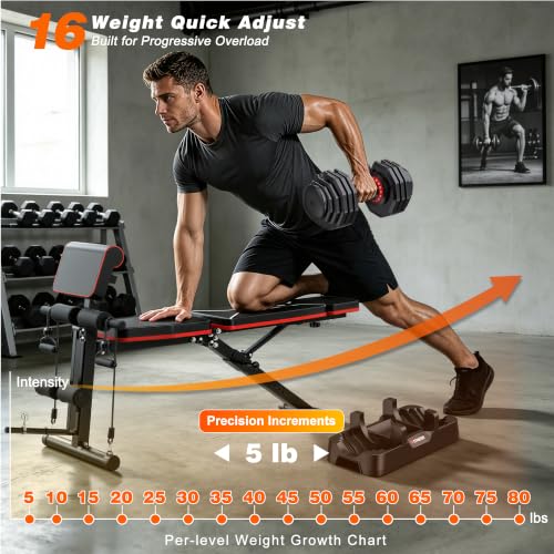 GIKPAL Adjustable Weight Bench - Workout Bench Press for Home Gym, Foldable Incline Decline Sit up Exercise Bench for Full Body Strength Training w/Leg Extension and Preacher Pad - color: Weight Bench & Max 16-Gear 80lbs Pair