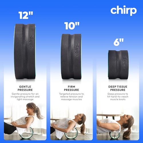 Chirp Wheel+ Foam Roller, Back & Neck Pain Relief, Mint 12-Inch - size: 12" - Gentle