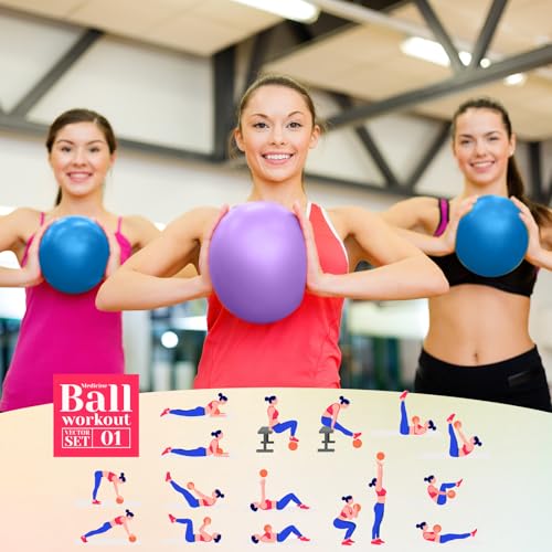 Aoriher 10 Pack 9 Inch Small Pilates Ball Bulk Mini Exercise Ball Portable Non-Slip Workout Yoga Balls with Air Pump for Stability, Barre, Fitness, Balance, Physical &Core, Gym Home Office Use - color: Blue,Purple