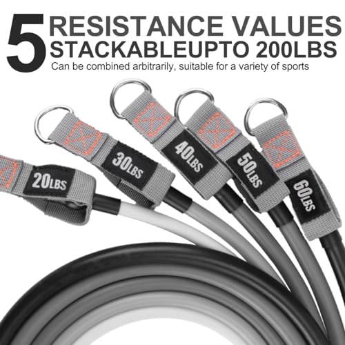 Resistance Bands with Handles, Single Resistance Bands, Exercise Bands with Handles, for Resistance Training, Physical Therapy, Home Workouts, Fitness, Pilates - color: Black-gray-set -200lbs
