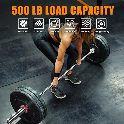Holleyweb 2 Inch EZ Curl Bar for Biceps, Squats, Bench Press - Olympic Bar for Weightlifting & Powerlifting - color: Sliver, size: 86.6in/500lbs