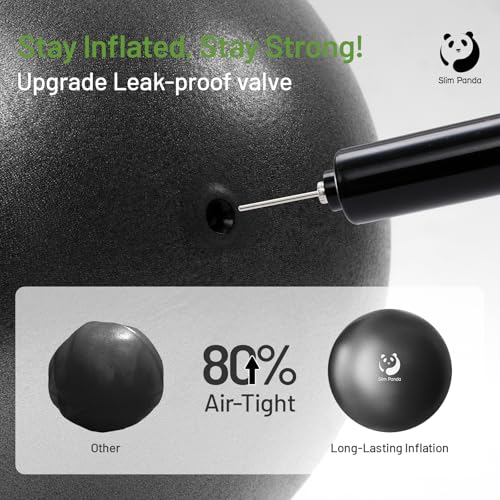 Slim Panda 9 Inch Pilates Ball - Anti-Burst Mini Yoga Ball with Needle Valve Pump - Small Exercise Core Ball for Barre, Stability & Physical Therapy - color: Black