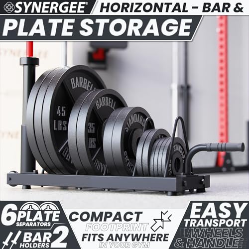 Synergee Horizontal Plate Rack – 350 lb Capacity with Bar Holders