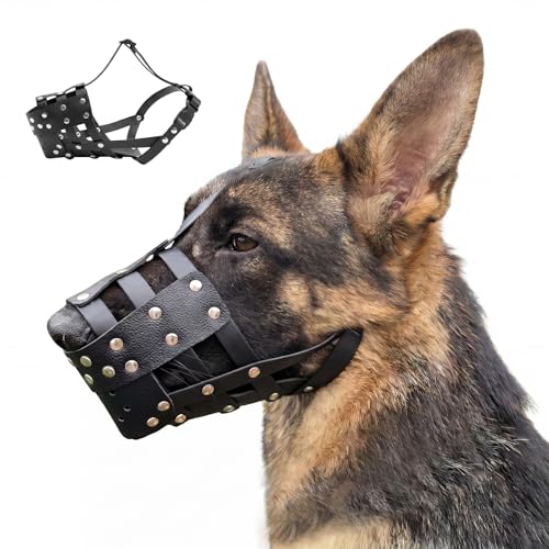Pit Bull Dog Muzzle – Heavy Duty PVC Adjustable Anti-Biting Chewing Mouth Guard for Medium & Large Dogs,Rottweiler, Staffordshire Terrier, Lab. Grooming, Walking, Outdoor to Prevent Scavenging - size: M