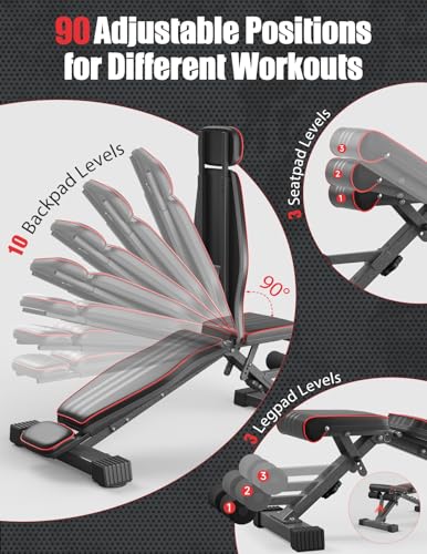 Adjustable/Foldable Weight Bench, 660LBS Home Gym Workout Bench Lifting Sit-up Exercise Bench for Bench Press - color: Black-Grey