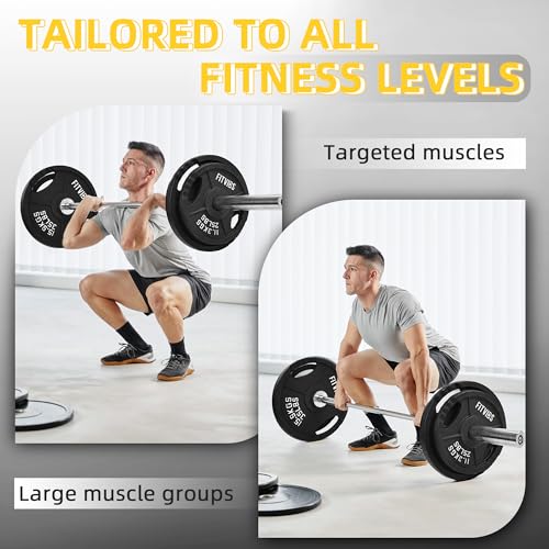 Fitvids Standard Cast Iron 1-Inch Weight Plates for Strength Training & Weightlifting, 35LB/70LB/120LB - style: Set (120LB: 2.5/5/10LB X4+25LB X2)