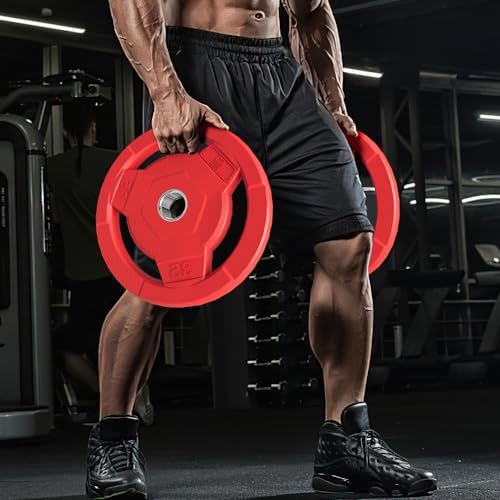 Color Coded 2-Inch Rubber Coated Olympic Grip Plate for Barbell,Solid Cast Iron Weight Plates for Strength Training, Weightlifting, Home Gym, 2.5/5/10/15/25/35/45 LB, Single and Pair - color: 65LB-SET