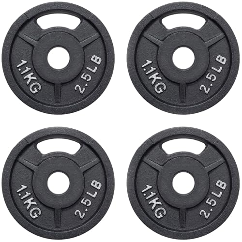 Fitvids 2-Inch Olympic and 1-Inch Standard Cast Iron Weight Plate for Strength Training & Weightlifting, Multiple Weights Available - color: Standard (1-Inch Center), style: 2.5LB Set of 4