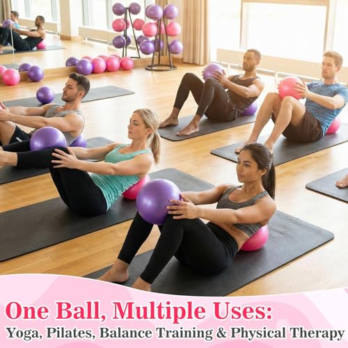 40 Pcs Small Exercise Pilates Ball Bulk 9 Inch Mini Yoga Balls Anti Burst and Slip for Stability Fitness Physical Therapy Stretching & Core Workout at Home Gym Office Class - color: Pink, Purple