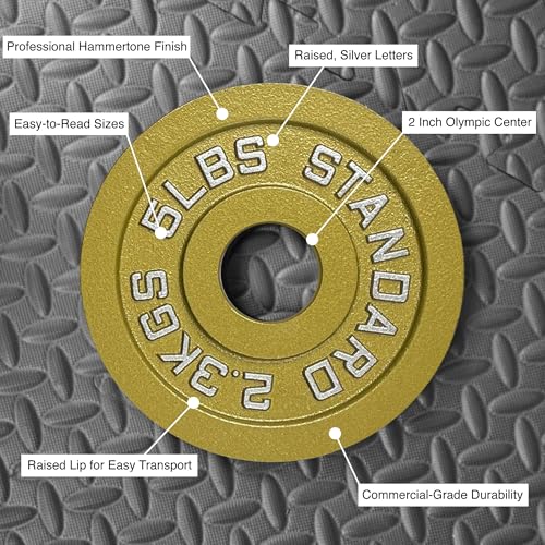 Gold Finish Olympic Steel Plates - Pairs and Sets 2 Inch Barbell Standard in Premium Gold for Weight Lifting - color: 25lb Pair