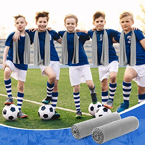 Hosuly 30 Pack Cooling Towels, 40"x12" Ice Breathable Soft Chilly Sweat Rag Microfiber Workout Rags for Gym Cooling Towels for Neck and Face for Yoga Golf Sport Running - color: Light Gray