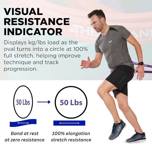THERABAND High Resistance Bands Set of 4, Light to Extra-Heavy Elastic Super Bands for Full Body Workouts, Physical Therapy, Strength Training, Durable 41” Loop Exercise Bands, 15-50 lbs Resistance - size: 4 Pack (15-50 lbs)