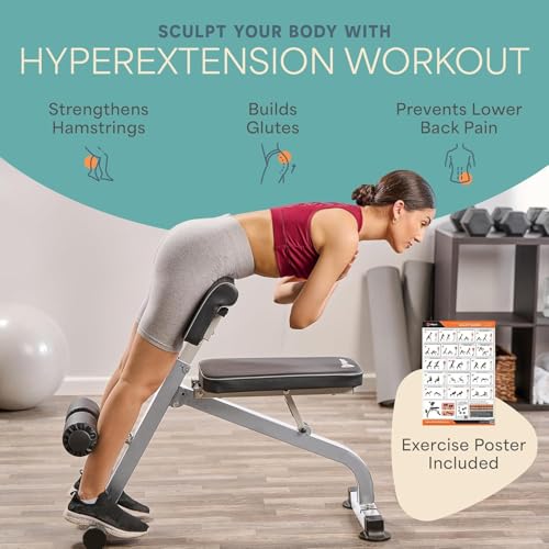 Lifepro SculptTrainer Roman Chair – 20+ Exercises, Foldable, 330 lb Cap | Hyperextension, hip thrusts, sit-ups & back extensions, 10 height positions, padded seat + dual rollers, alloy steel - color: Silver, size: Large