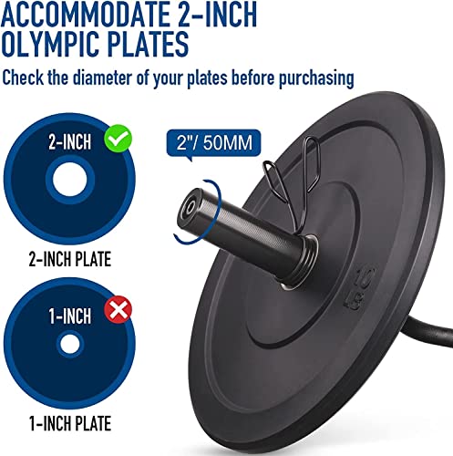 47" Olympic EZ Curl Bar for 2-inch Plates - Ez Bar - Ez Barbell Curl Bar for Weight Lifting Bicep,Hip Thrusts,Squat, with 2 Spring Collars
