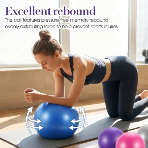 12Pcs Small Exercise Balls, 9.84 Inch Mini Yoga Ball for Pilates, Yoga Therapy Core Ball, Stability & Balance Training, Anti-Burst Fitness Balls for Home Gym, Physical Therapy, Core Strength