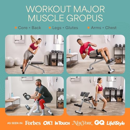Lifepro SculptTrainer Roman Chair – 20+ Exercises, Foldable, 330 lb Cap | Hyperextension, hip thrusts, sit-ups & back extensions, 10 height positions, padded seat + dual rollers, alloy steel - color: Silver, size: Large