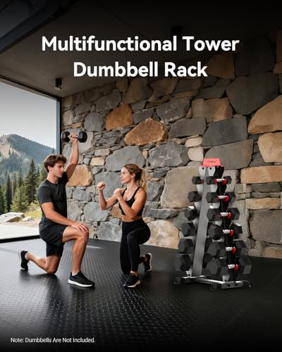 HARISON High-end A-Frame Dumbbell Rack Stand, 6-Tier Weight Rack for Dumbbells Home Gym 480LBS Weight Capacity（without dumbbells)