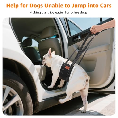LOOBANI Portable Dog Sling for Back Legs, Hip Support Harness to Help Lift Dogs Rear for Canine Aid and Old K9 Cruciate Ligament Rehabilitation - color: Black, size: Small