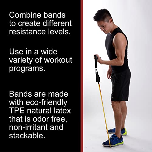 BodyForge Resistance Bands, Exercise Bands, Resistance Bands for Working Out, Work Out Bands with Handles for Men and Women Fitness, Strength Training Home Gym Equipment - size: 1 Pack