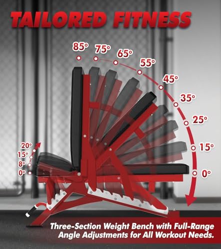 RitFit Rubber Coated Hex Dumbbell Set with Rack, 5-780LB for Home Gym Strength Training, Anti-Slip Knurled Handle, Hexagon Anti-Roll, Heavy-Duty Storage Rack - style: 250 LB Set with Red Adjustable Weight Bench (10-40LB）