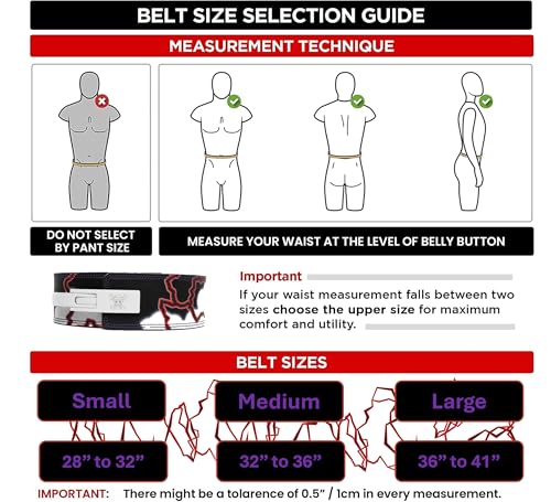 Anime Weight Lifting Lever Belt | 10mm Premium Leather Weightlifting Belt for Powerlifting, Bodybuilding, Deadlift, Squats, Exercise Workout | Heavy Duty Gym Belt Best for Men & Women - color: Gear 5, size: Large