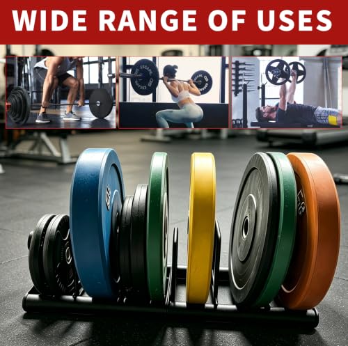 Weight Rack with Dividers 660 LBS Capacity Olympic Weight Plate Rack for Home Gym Freestanding Dumbbell Organizer with 3-Section Spacing for Thin & Thick Plates