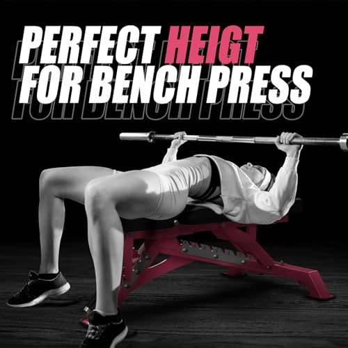RITFIT Adjustable Weight Bench, Incline Decline Flat, 1300LB Capacity | Full Body Workout Bench for Home Gym Strength Training, 10 Backrest Positions, 3 Seat Angles, Heavy Duty Steel Frame - color: Pink