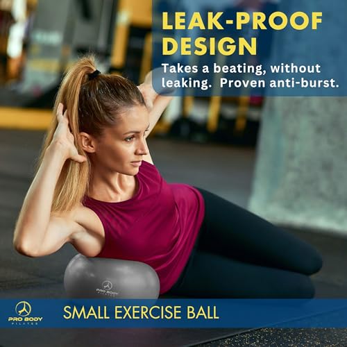ProBody Pilates Small Exercise Ball - 9 Inch Workout Ball for Stability, Barre, Yoga, Core & Physical Therapy - color: Silver
