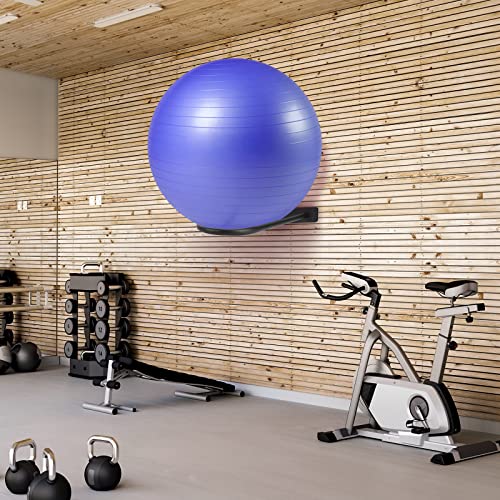Medicine Ball Rack - Wall Mount Stability Ball Storage Rack(1 Black) - color: 1 Black