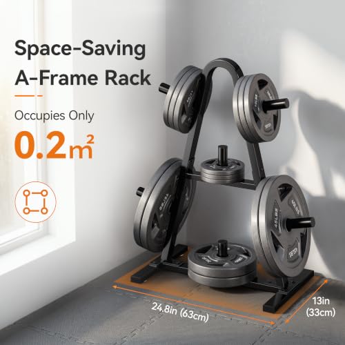 Weight Rack for Home Gym, 400 LB Weight Tree - size: for Olympic Weight Plate