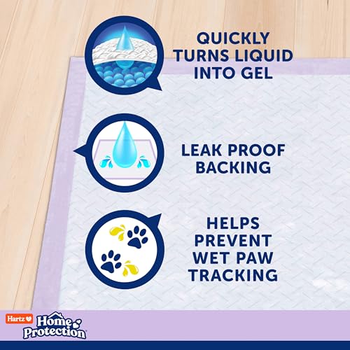 Hartz Home Protection Lavender Scent Odor Eliminating Dog Pads, 3XL, 30ct | Thicker Quilted, Super Absorbent, Quick Drying, No Leaks, No Odors, FlashDry Technology - size: 3XL 36 x 36 (30 Count)