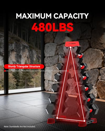 HARISON High-end A-Frame Dumbbell Rack Stand, 6-Tier Weight Rack for Dumbbells Home Gym 480LBS Weight Capacity（without dumbbells)