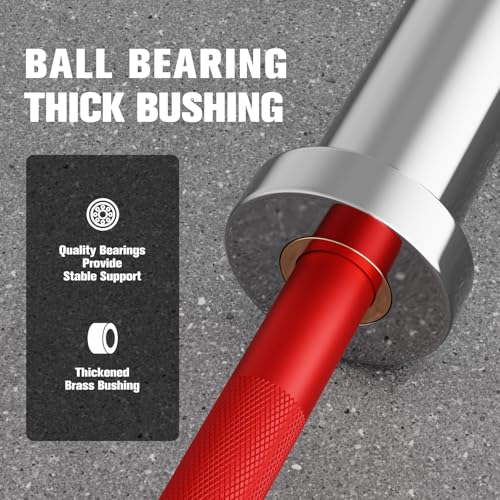 RITFIT Olympic Barbell 4ft/6ft - 2 Inch Weight Bar for Strength Training, Weightlifting, Squat, Deadlift, Bench Press, Curl, Overhead Press - 350lbs/500lbs Capacity - color: Silver/Red, size: 4FT without Collar