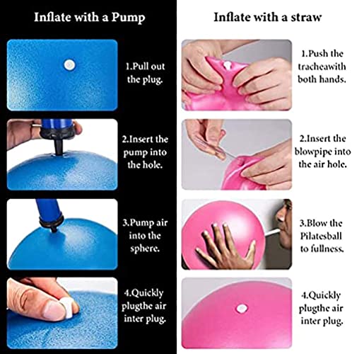 6 Inch Exercise Pilates Mini Yoga Balls Barre for Home Stability Squishy Training Physical Therapy Improves Balance Core Strength Comes with Pump(Grey,6 Inch)