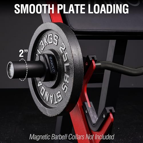 Mikolo EZ Curl Bar, 2 Inch Olympic Curl Bar for Biceps and Triceps, 47” Curling Bar with Knurled Grip, 700LB Barbell Bar with Multi-Angle Wrist-Friendly Design - color: Black - EZ Curl Bar - Bar Only