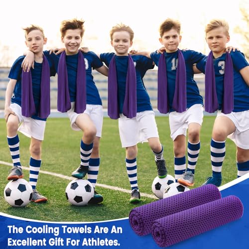 Hosuly 6 Pack Cooling Towels 40"x12" Ice Towel Cooling Neck Wraps Soft Breathable Chilly Stay Cool in Summer for Sports Yoga Golf Gym Activities(Purple) - color: Purple