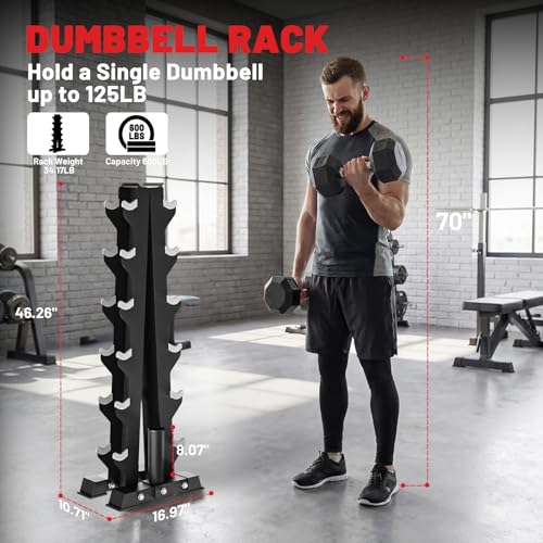 Hex Dumbbell Sets with Rack, 85-560lb Dumbbell Weight Set & Storage Rack | PAPABABE Dumbbell Set with Stand, Rubber Dumbbell Weight Set, Multiple Options Hand Weight for Strength Training - size: 1 X 6-Tier A-Frame with T Bar Row