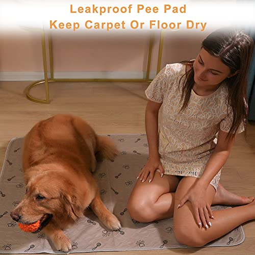 Peepeego 2Pack Pee Pads Washable 36”x48 +Free Dog Comb, Waterproof Rugs Non Slip - size: 2Pack 36x48