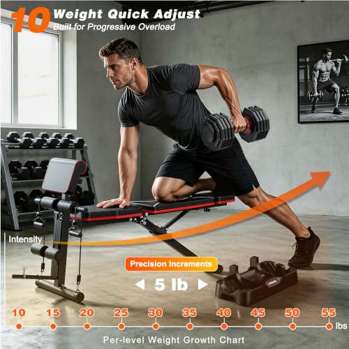 GIKPAL Adjustable Weight Bench - Workout Bench Press for Home Gym, Foldable Incline Decline Sit up Exercise Bench for Full Body Strength Training w/Leg Extension and Preacher Pad - color: Weight Bench & Pro 10-Gear 55lbs Pair