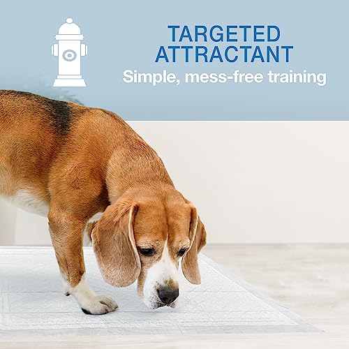 Four Paws Wee-Wee Super Absorbent Unscented Pee Pads for Dogs & Puppies with Insta-Rise Border, Leak-Proof Dog Housebreaking Potty Training Floor Protection, 22" x 23", 10 Count (Pack of 3) - size: 22" x 23" (Pack of 3)