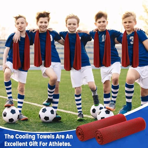 Hosuly 6 Pack Cooling Towels 40"x12" Ice Towel Cooling Neck Wraps Soft Breathable Chilly Stay Cool in Summer for Sports Yoga Golf Gym Activities(Red) - color: Red