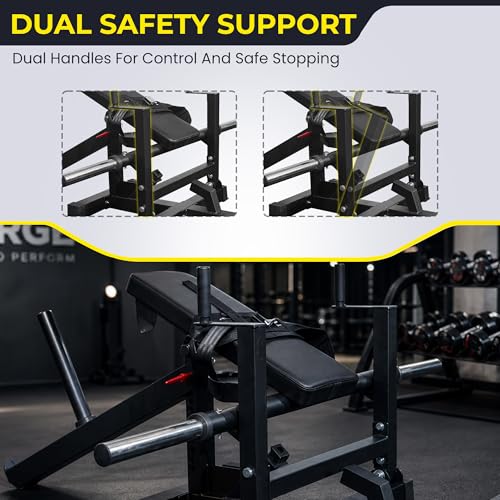 Hip Thrust Machine, Plate-Loaded Glute Bridge Machine, Heavy Duty Glute Builder for Home Gym,Butt Shaping and Building Glute Muscles Sports Training-Completely Upgraded - color: black