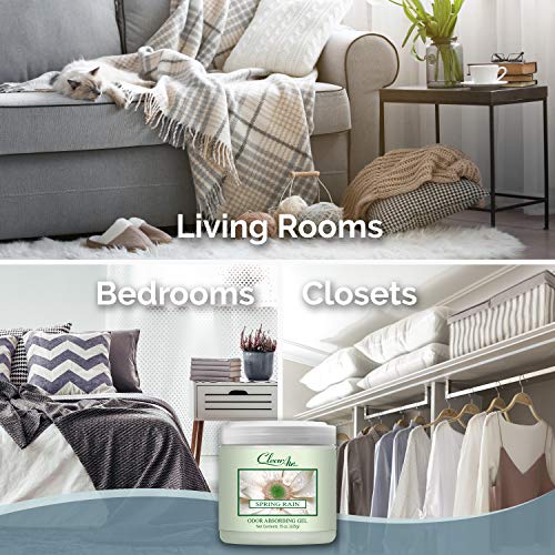 Clear Air 15oz Gel Odor Eliminator - Absorb & Remove Strong Odors from Pets, in Bathrooms, Basements, Garage, Cars, RVs & Boats - Eliminate Tough Odors with Essential Oils (Spring Rain, 2-Pack)