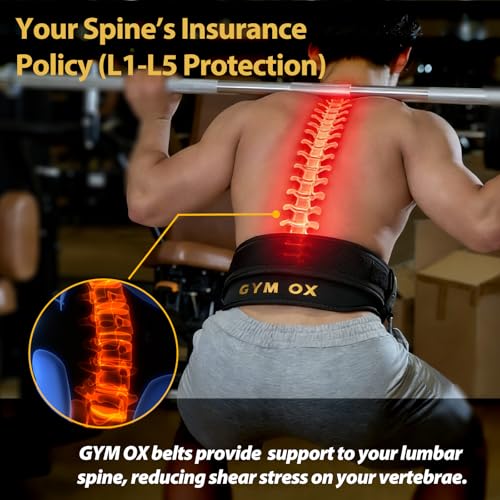 2-in-1 Weightlifting Belt & Dip Belt with Quick-Release Aluminum Buckle - Hybrid Squat Belt for Core Support & Weighted Pull Up Belt with High-Strength Strap - Heavy Duty Neoprene Gym Belt for Men & Women - size: M (28"- 32.5")