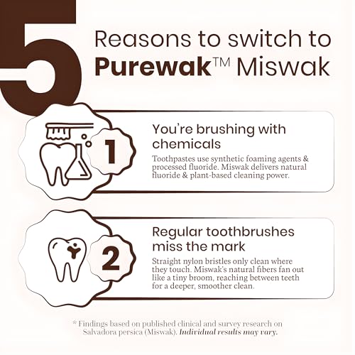 Miswak Sticks, 100% Natural Miswak, Traditional Tooth Cleaning Sticks - 3 Months Supply, 1 Pack, 12 Miswak Sticks with Holder.