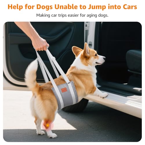 LOOBANI Dog Sling for Medium Dogs Hind Leg Support, Portable Dog Lift Harness for Back Legs, Comfortable Leg Support Assistance for Elderly Dogs with Hip, ACL Brace, Senior, Injured - color: Grey&Grey, size: Medium